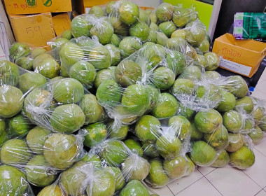 รับมอบส้มโอพันธุ์ขาวใหญ่ จากสหกรณ์การเกษตรบางคนที จำกัด ... พารามิเตอร์รูปภาพ 3